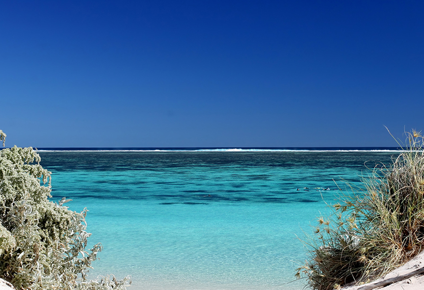 The breathtaking Ningaloo Reef